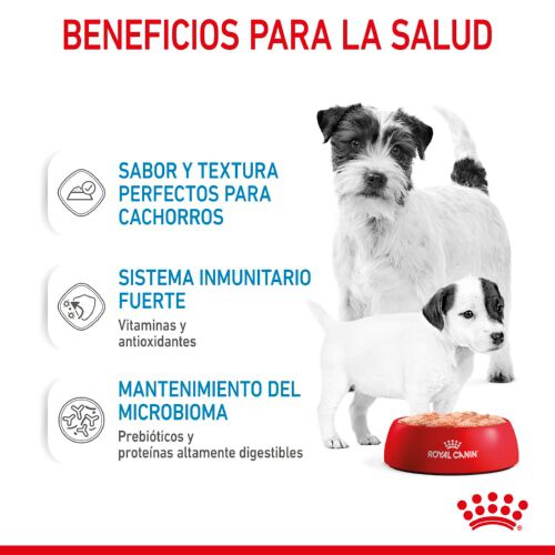 195 g Royal Canin Starter Mommy & Baby mousse latas para perros, , large Imagen numero 4
